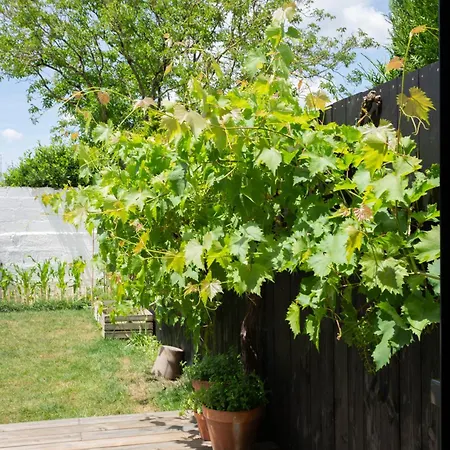 Maison D'architecte à