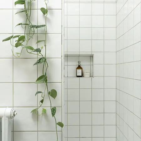 Maison D'architecte A *